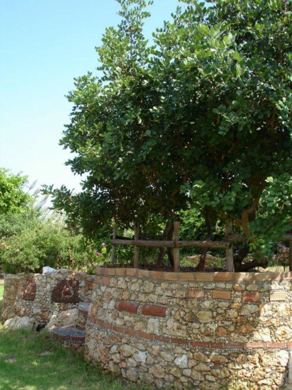 Iliostasi Beach Apartments Hersonissos  Zewnętrze zdjęcie